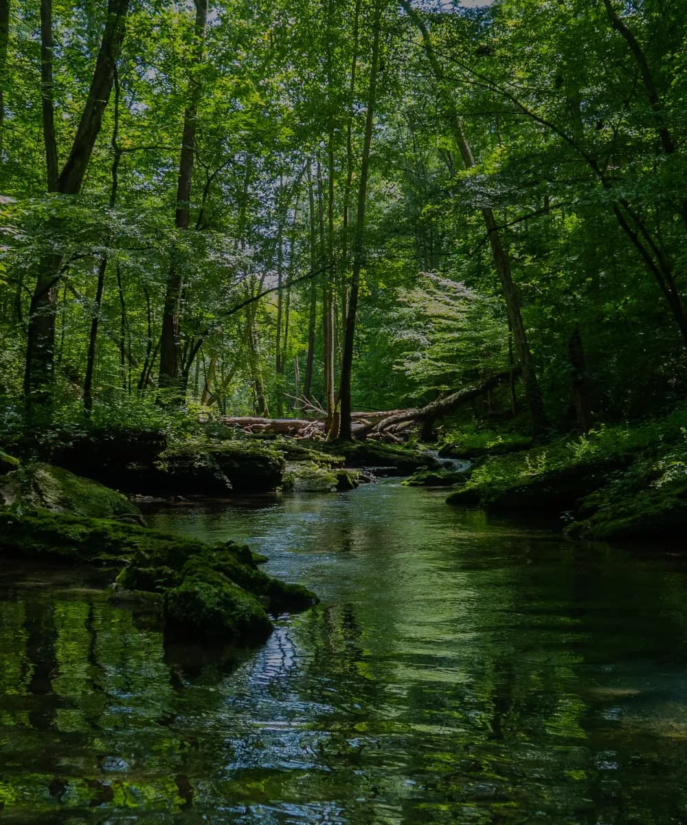 Mucura - Apartamentos en la Reserva, Armenia - Constructora Sinergia